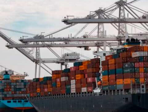 Porte-conteneurs et grues portuaires illustrant les capacités logistiques internationales de GRITFOL